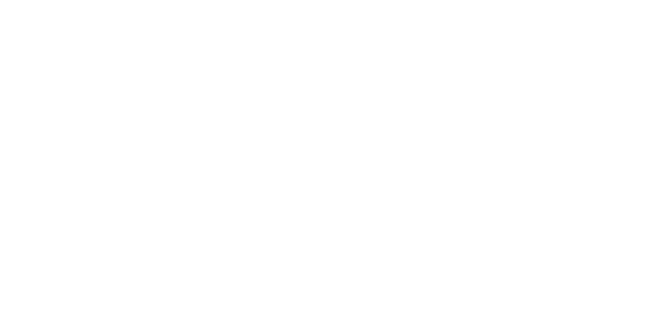 Dominique Heidenreich Logo weiß